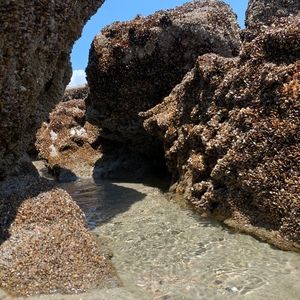 Meet your Posher, Anne